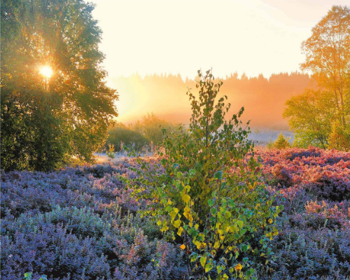 Rhön Kalender 2014